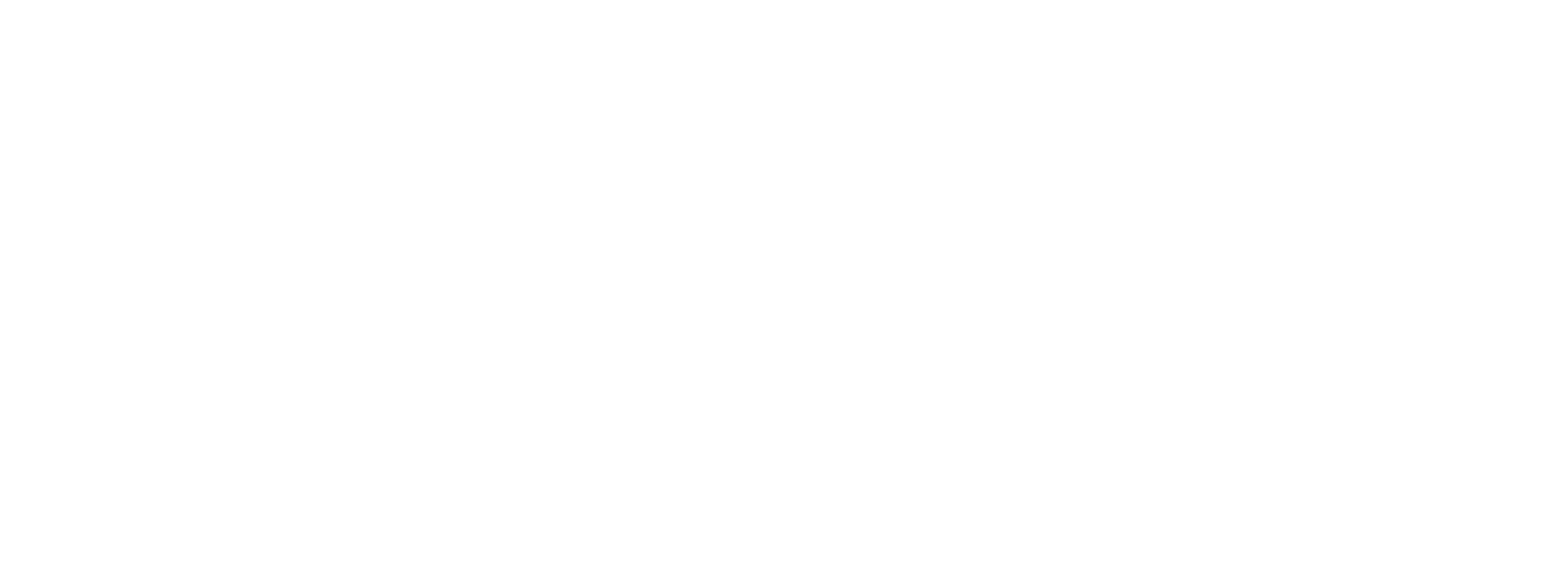 UFC logo
